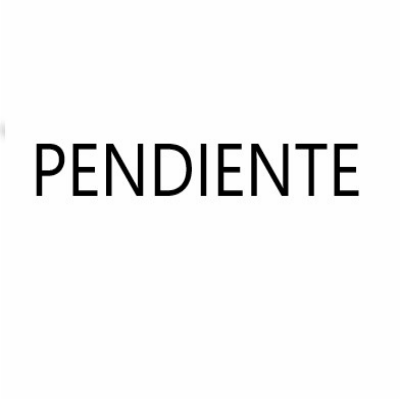 PENDIENTE
